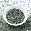 MIYUKI Delica Beads SEED-X0054-DB2165-2