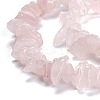 Natural Rose Quartz Beads Strands G-G011-14-2