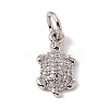 Brass Micro Pave Cubic Zirconia Charms ZIRC-F132-30P-1
