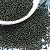 MIYUKI Round Rocailles Beads X-SEED-G007-RR0453-1