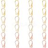 10 Pairs 2 Colors Rack Plating Brass Earring Hooks EJEW-FH0001-05-1