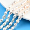 Natural Cultured Freshwater Pearl Beads Strands PEAR-N014-05E-2