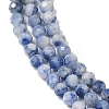 Natural Blue Spot Jasper Beads Strands G-A252-A02-02-4