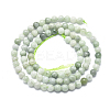 Natural Myanmar Jade/Burmese Jade Beads Strands G-D0001-08-4mm-2