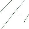Baking Paint Iron Wire MW-NH0001-04A-2