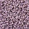 TOHO Round Seed Beads X-SEED-TR11-0412F-1