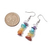 Natural Mixed Stone & Synthetic Turquoise Dangle Earrings EJEW-JE06032-3