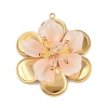 304 Stainless Steel and Acrylic and Plastic Pendants STAS-R170-04G-06-1