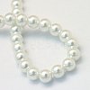 Baking Paint Glass Pearl Round Bead Strands X-HY-Q003-10mm-01-4