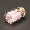 Transparent Glass Wishing Bottle Decoration LS-DJEW-A001-01A-07-3
