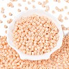 Opaque Baking Paint Glass Seed Beads X-SEED-T008-02C-2
