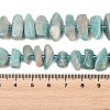 Natural Amazonite Beads Strands G-P619-A04-01-5