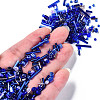 Glass Seed Beads SEED-S059-005-4