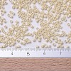 MIYUKI Delica Beads SEED-X0054-DB0204-4