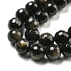 Natural Golden Sheen Obsidian Beads Strands G-E571-A01-02-4
