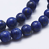 Natural Lapis Lazuli Beads Strands G-P348-01-10mm-3