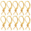 50Pcs 304 Stainless Steel Leverback Earring Findings with Pendant Bails STAS-BBC0001-52G-1