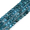 Natural Apatite Beads Strands G-P553-E03-02-2