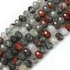 Natural African Bloodstone Beads Strands G-D344-A01-3