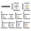 DIY Jewelry Making Finding Kits DIY-BT0001-38-4