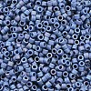 MIYUKI Delica Beads SEED-MY11-DB2317-2
