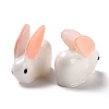 Rabbit Plastic Display Ornaments DJEW-C004-02-4