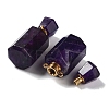 Natural Amethyst Perfume Bottle Pendants G-A026-16B-02-2