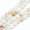 Natural Agate Bead Strands G-R346-10mm-26-1