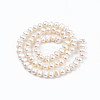Natural Cultured Freshwater Pearl Beads Strands LS-PEAR-N013-04B-01-2