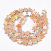 Freshwater Shell Beads Strands SHEL-N026-08C-2