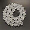 Frosted Transparent Round Glass Beads Strands FGLA-P002-10mm-03-1