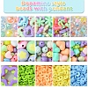 DIY Acrylic & Polymer Clay Beads Jewelry Making Findings Kits DIY-FS0006-86-2