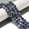Natural Blue Spot Stone Beads Strands G-K382-A12-02-2
