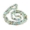 Natural Flower Amazonite Chips Beads Strands G-M205-12B-3