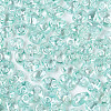 Transparent Colours Luster Glass Seed Beads SEED-N008-09C-3