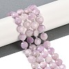 Natural Kunzite Beads Strands G-C116-A53-01-1