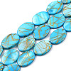 Natural Freshwater Shell Beads Strands X-SSHEL-T007-17-1