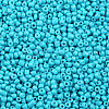 Baking Paint Glass Seed Beads SEED-US0003-3mm-K10-2