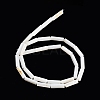 Freshwater Shell Beads Strands X-BSHE-L037-13-5