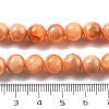 Natural Persian Jade Beads Strands G-A255-A02-02J-3