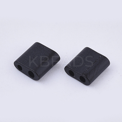 FGB 2-Hole Glass Seed Beads X-SEED-S031-L-049F-1