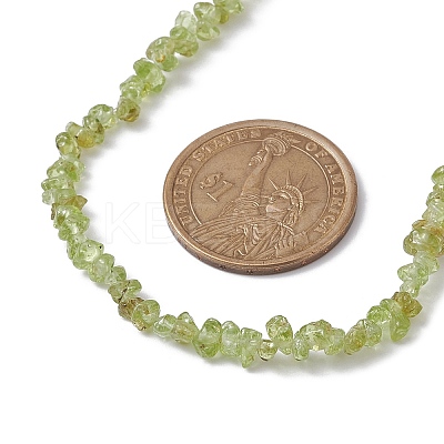 Natural Peridot Chip Beaded Necklace NJEW-JN04615-16-1