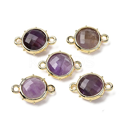 Brass Natural Amethyst Connector Charms KK-Z096-01G-03-1