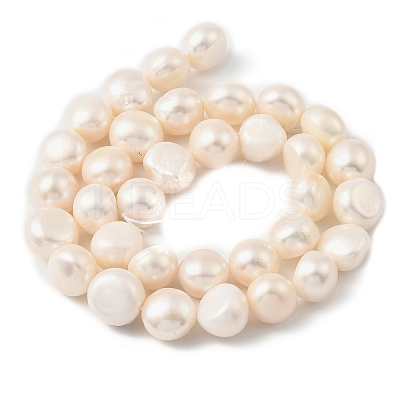 Natural Cultured Freshwater Pearl Beads Strands PEAR-P064-19L-02B-1
