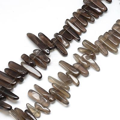 Natural Smoky Quartz Beads Strands G-R835-10-1