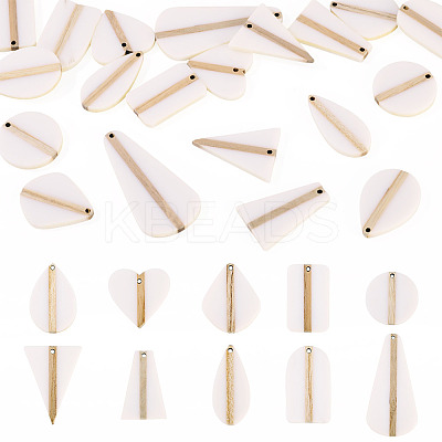 20Pcs 10 Styles Opaque Resin & Wood Pendants Sets RESI-TA0004-63B-1
