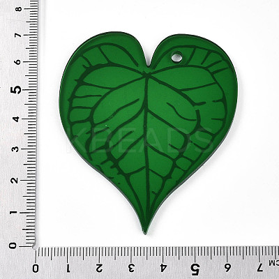 Transparent Printed Acrylic Pendants TACR-T028-33A-1