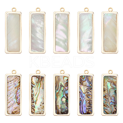 10Pcs 2 Styles Natural Paua Shell Pendants KK-WR0001-71-1