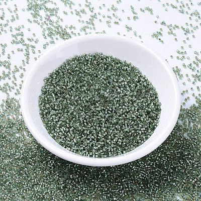 MIYUKI Delica Beads SEED-X0054-DB2165-1