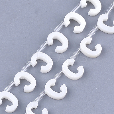 Freshwater Shell Beads X-SHEL-T012-59C-1